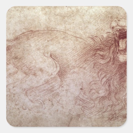 Skizze eines zerreißenden Löwen Quadratischer Aufkleber (Vorderseite)