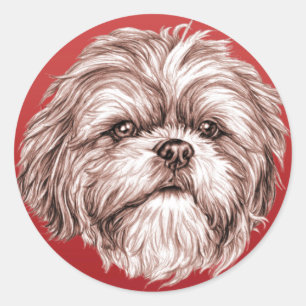Skizze Shih Tzu Runder Aufkleber
