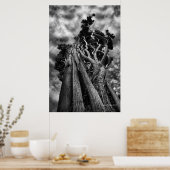 Skizzen - Kunstfotografie Poster (Küche)