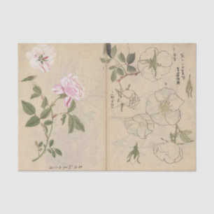Skizzenbuch Pl. 107 von Ariyoshi Kondo Seidenpapier