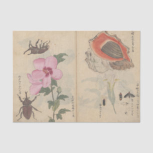 Skizzenbuch Pl. 108 von Ariyoshi Kondo Seidenpapier