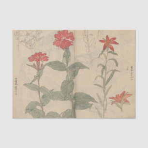 Skizzenbuch Pl. 111 von Ariyoshi Kondo Seidenpapier