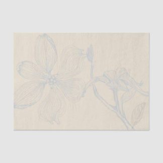 Skizzierte Dogwood Branch Lg Skala auf Parchel Seidenpapier