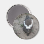 Sklave Magnet (Vorderseite/Rückseite)