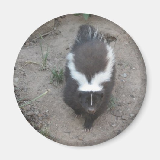 Sklave Magnet (Vorne)