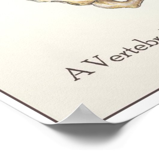 Skoliose Poster (Ecke)