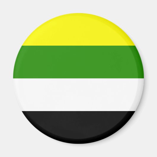 Skoliosexuelle Flagge Magnet (Vorne)