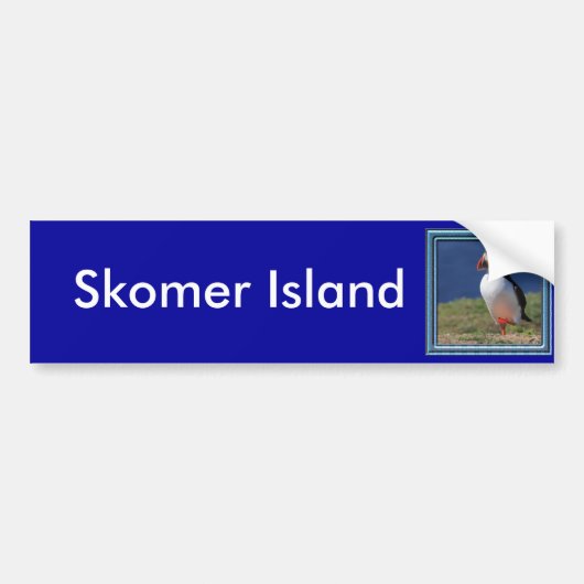 Skomer Insel-Papageientaucher Autoaufkleber (Vorne)