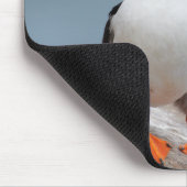 Skomer Insel-Papageientaucher Mousepad (Ecke)
