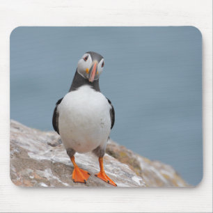 Skomer Insel-Papageientaucher Mousepad
