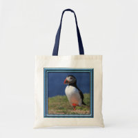Skomer Insel-Papageientaucher