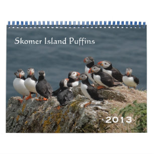 Skomer Island Puffins 2013 Kalender