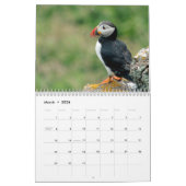 Skomer Island Puffins 2021 Wales Kalender (Mär 2026)