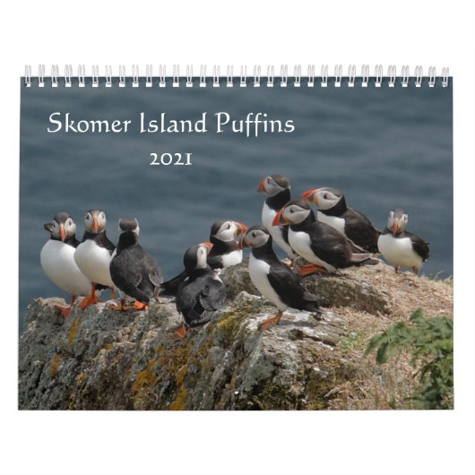 Skomer Island Puffins 2021 Wales Kalender (Titelbild)