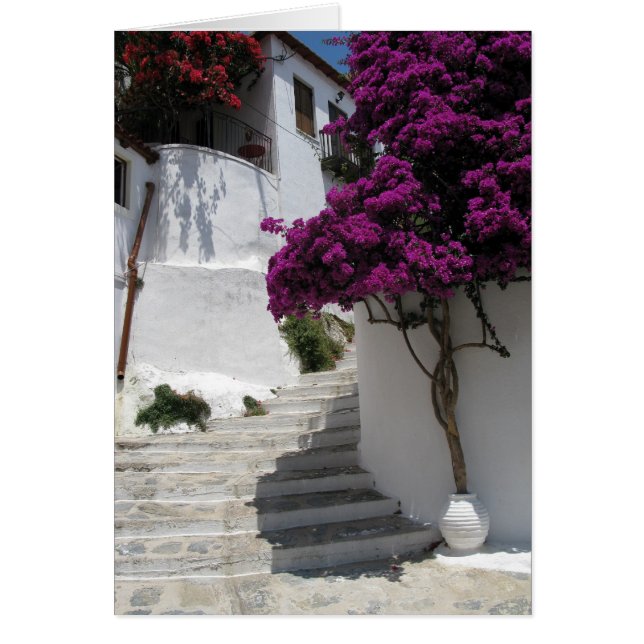 Skopelos Griechenland (Vorne)