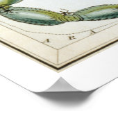 Skorpio Astrologie Zodiac Poster (Ecke)