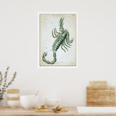 Skorpio Astrologie Zodiac Poster (Küche)