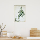 Skorpio Astrologisch Zeichnend Poster (Küche)