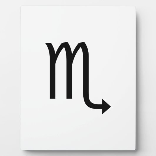 Skorpio Fotoplatte (Vorderseite)