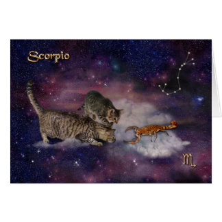 Skorpio für Katzen