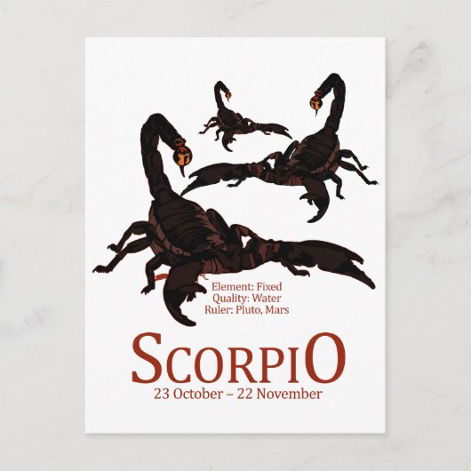 Skorpio Postkarte (Vorderseite)