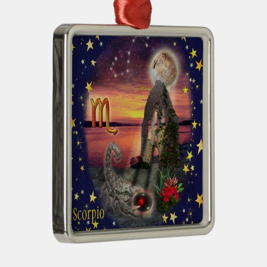 Skorpio Silbernes Ornament (Rechts)
