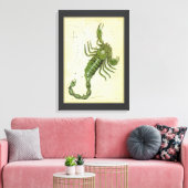 Skorpio, Vintager Sternbild Urania-Spiegel Leinwanddruck (Insitu (Wohnzimmer))