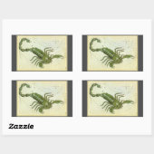 Skorpio, Vintager Sternbild Urania-Spiegel Rechteckiger Aufkleber (Blatt)