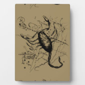 Skorpiokonstellation Hevelius 1690 Gravieren Fotoplatte (Vorderseite)