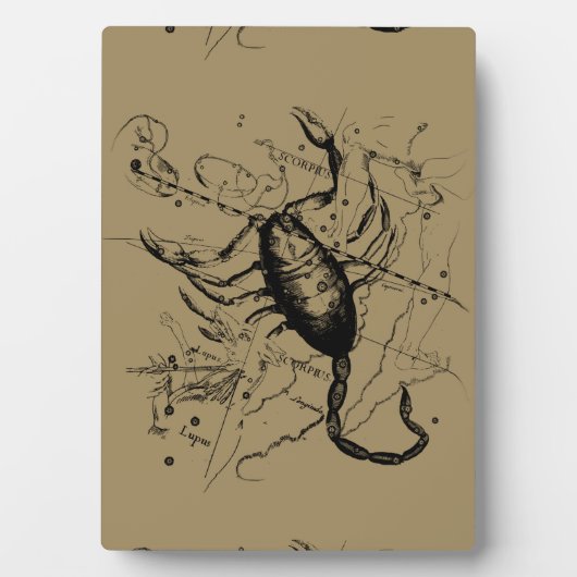 Skorpiokonstellation Hevelius 1690 Gravieren Fotoplatte (Vorderseite)