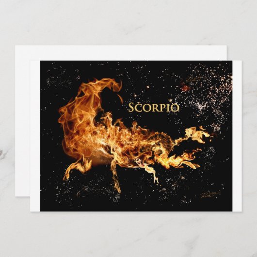 Skorpion (Vorne/Hinten)