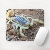 Skorpion 343 mousepad (Mit Mouse)