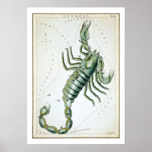 Skorpion Astrologie Tierkreiszeichen Poster