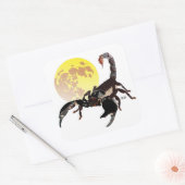 Skorpion Aufkleber (Umschlag)