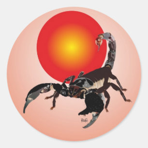 Skorpion Aufkleber