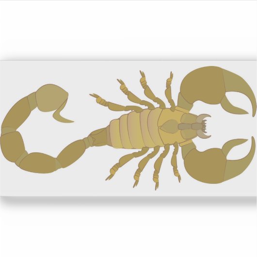 Skorpion Aufkleber (Vorderseite)