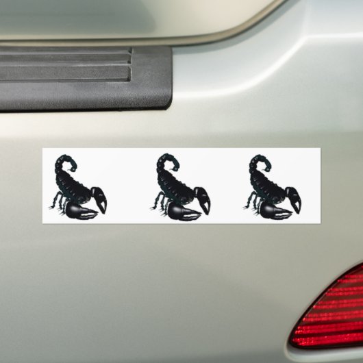 Skorpion Autoaufkleber (Auf Auto)