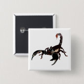 Skorpion Buttons (Vorne & Hinten)