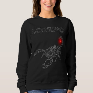 Skorpion Darkle Astrologie   Minimal Okkulter Tier Sweatshirt