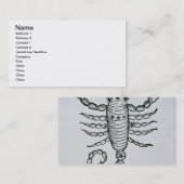 Skorpion (der Skorpion) eine Illustration vom 'P Visitenkarte (Vorne/Hinten)