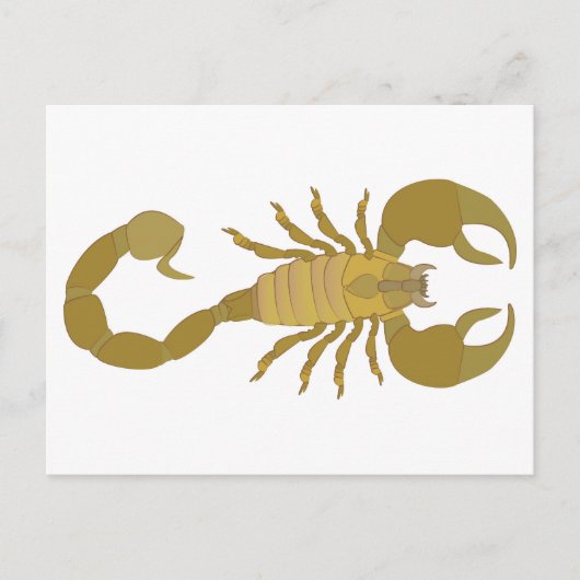 Skorpion Feiertagspostkarte (Vorderseite)