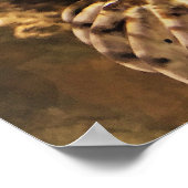 Skorpion-Fisch-Fotografie-Poster Poster (Ecke)