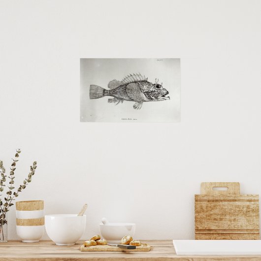 Skorpion Fish Poster (Küche)