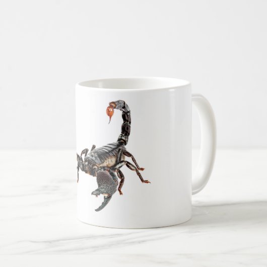 Skorpion Kaffeetasse (VorderseiteRechts)