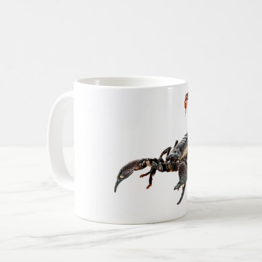 Skorpion Kaffeetasse (Vorderseite Links)