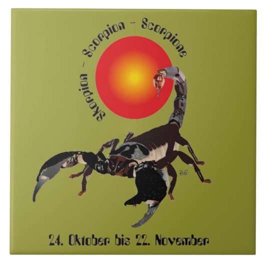 Skorpion Keramik Fotofliese Fliese (Vorderseite)