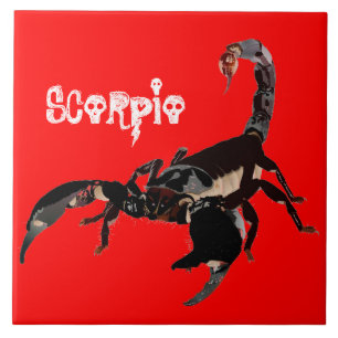 Skorpion Keramik Fotofliese Fliese