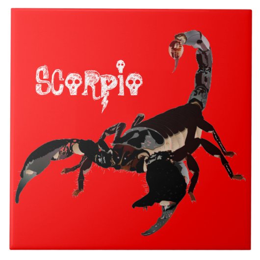 Skorpion Keramik Fotofliese Fliese (Vorderseite)
