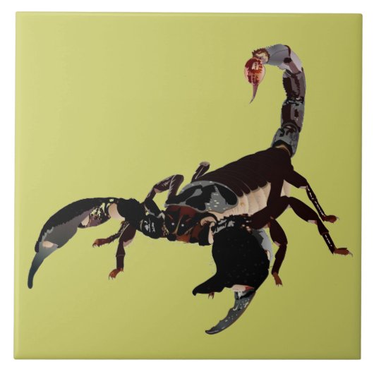 Skorpion Keramik Fotofliese Fliese (Vorderseite)