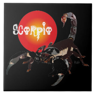 Skorpion Keramik Fotofliese Fliese